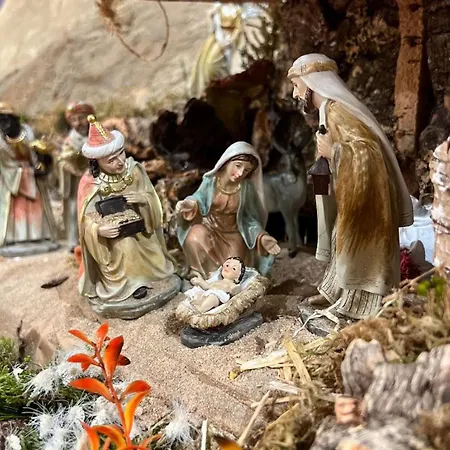 Unique Experience In Sailboat! In The 4 Seasons!! B Shi Botel Valencie